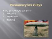 Jėgos momentas ir pusiausvyros rūšys 12 puslapis