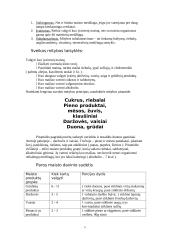 Sveika, subalansuota mityba 5 puslapis