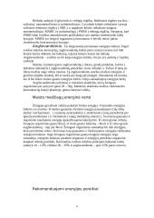 Sveika, subalansuota mityba 8 puslapis