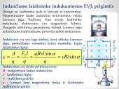 Ampero ir Lorenco jėgos 12 puslapis