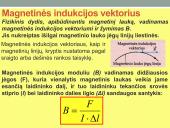 Ampero ir Lorenco jėgos 4 puslapis