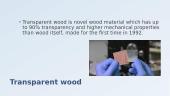 Innovative Building Materials. Transparent Wood 3 puslapis