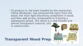 Innovative Building Materials. Transparent Wood 5 puslapis