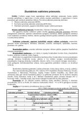 Šiuolaikinės ir įprastinės naikinimo priemonės 2 puslapis