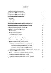 Organizuotas nusikalstamumas: problema ir jos sprendimo būdai 2 puslapis