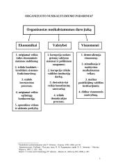 Organizuotas nusikalstamumas: problema ir jos sprendimo būdai 5 puslapis