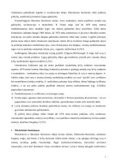 Feministinės teorijos 5 puslapis