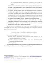 Subkultūrų teorija: socialinės atsiradimo priežastys, teoretikai, šiandienos aktualijos 11 puslapis