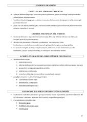 Subkultūrų teorija: socialinės atsiradimo priežastys, teoretikai, šiandienos aktualijos 17 puslapis