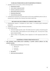 Subkultūrų teorija: socialinės atsiradimo priežastys, teoretikai, šiandienos aktualijos 18 puslapis