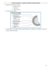 Subkultūrų teorija: socialinės atsiradimo priežastys, teoretikai, šiandienos aktualijos 19 puslapis