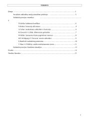 Subkultūrų teorija: socialinės atsiradimo priežastys, teoretikai, šiandienos aktualijos 2 puslapis