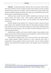 Subkultūrų teorija: socialinės atsiradimo priežastys, teoretikai, šiandienos aktualijos 3 puslapis