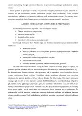 Subkultūrų teorija: socialinės atsiradimo priežastys, teoretikai, šiandienos aktualijos 6 puslapis