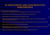 Interneto įtaka nepilnamečių nusikalstamumui  18 puslapis