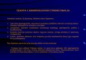 Interneto įtaka nepilnamečių nusikalstamumui  3 puslapis