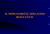 Interneto įtaka nepilnamečių nusikalstamumui  4 puslapis