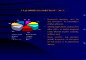 Interneto įtaka nepilnamečių nusikalstamumui  6 puslapis