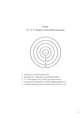 Ekologinė kriminologija bei architektūrinė kriminologija 12 puslapis