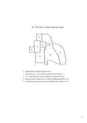 Ekologinė kriminologija bei architektūrinė kriminologija 13 puslapis