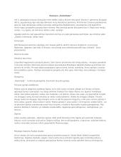 Radvano „Radviliada“