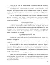 Nusikaltimų prevencija Suomijoje 20 puslapis