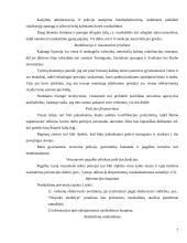 Nusikaltimų prevencija Suomijoje 6 puslapis