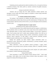 Nusikaltimų prevencija Suomijoje 7 puslapis