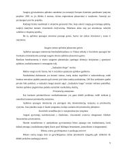 Nusikaltimų prevencija Suomijoje 8 puslapis