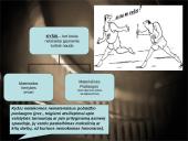 Kyšininkavimas universitetuose 8 puslapis