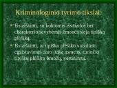 Tipiškas plėšikas visuomenės akimis  2 puslapis