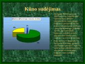 Tipiškas plėšikas visuomenės akimis  12 puslapis