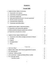 Tarptautinis verslas ir tarptautinių įmonių valdymo ypatumai 2 puslapis