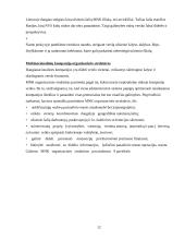 Tarptautinis verslas ir tarptautinių įmonių valdymo ypatumai 12 puslapis