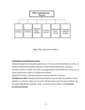 Tarptautinis verslas ir tarptautinių įmonių valdymo ypatumai 13 puslapis