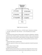 Tarptautinis verslas ir tarptautinių įmonių valdymo ypatumai 14 puslapis