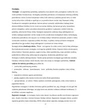 Tarptautinis verslas ir tarptautinių įmonių valdymo ypatumai 17 puslapis