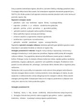 Tarptautinis verslas ir tarptautinių įmonių valdymo ypatumai 18 puslapis