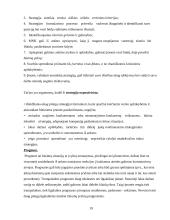 Tarptautinis verslas ir tarptautinių įmonių valdymo ypatumai 19 puslapis