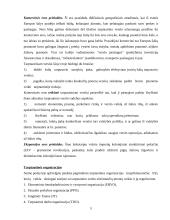 Tarptautinis verslas ir tarptautinių įmonių valdymo ypatumai 5 puslapis