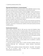 Tarptautinis verslas ir tarptautinių įmonių valdymo ypatumai 6 puslapis