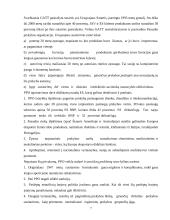 Tarptautinis verslas ir tarptautinių įmonių valdymo ypatumai 7 puslapis