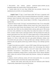 Tarptautinis verslas ir tarptautinių įmonių valdymo ypatumai 8 puslapis