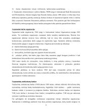 Tarptautinis verslas ir tarptautinių įmonių valdymo ypatumai 9 puslapis