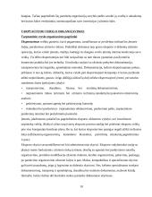 Tarptautinis verslas ir tarptautinių įmonių valdymo ypatumai 10 puslapis