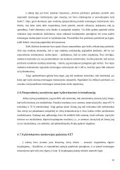Kyšininkavimas ir papirkimas pažeidus kelių eismo taisykles 9 puslapis