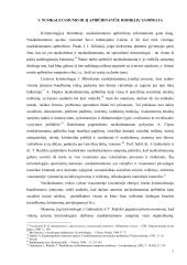 Lietuvos nusikalstamumo rodikliai pasauliniame kontekste 7 puslapis