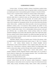 Taršos problemos: UAB "Mažeikių vandenys" 6 puslapis