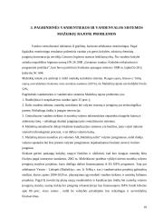 Taršos problemos: UAB "Mažeikių vandenys" 10 puslapis