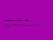 Homoseksualizmas ir nusikalstamumas. Visuomenės požiūris į jų sąveiką  4 puslapis